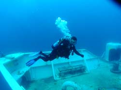 Scuba diver on Vandenberg wreck diving